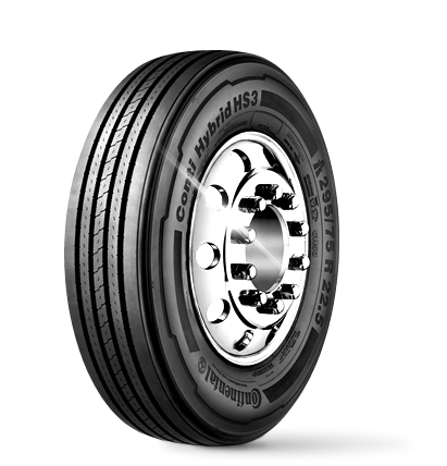 ¿Quén puede acceder a CARGOMA?