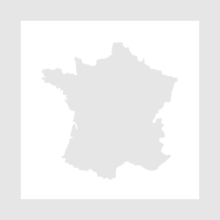 Buscador avanzado Cargoma